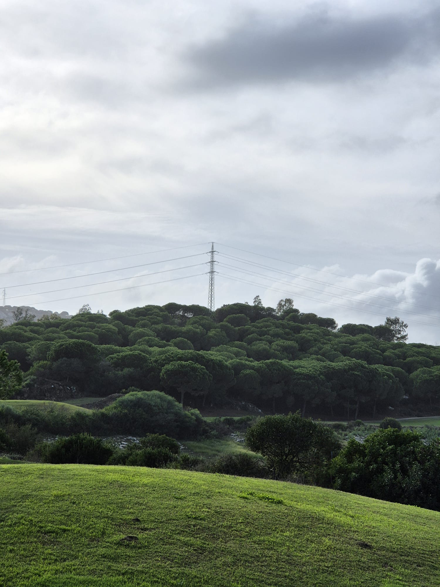 4,104 m² Plot in Sotogrande - Photo 5