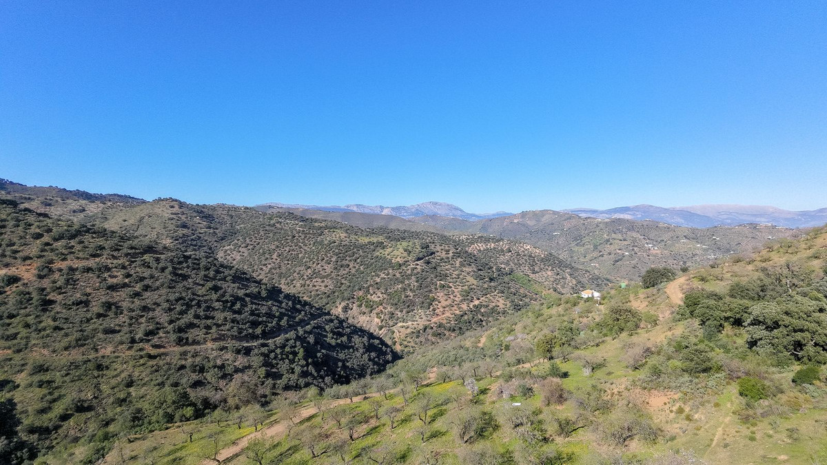 116,511 m² Plot in Málaga - Photo 5
