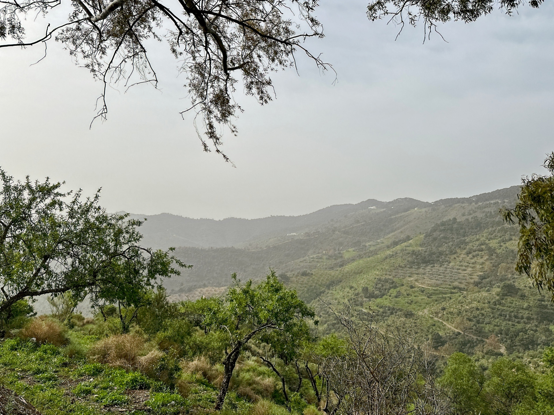 8 Bedroom Country house in Málaga - Photo 2