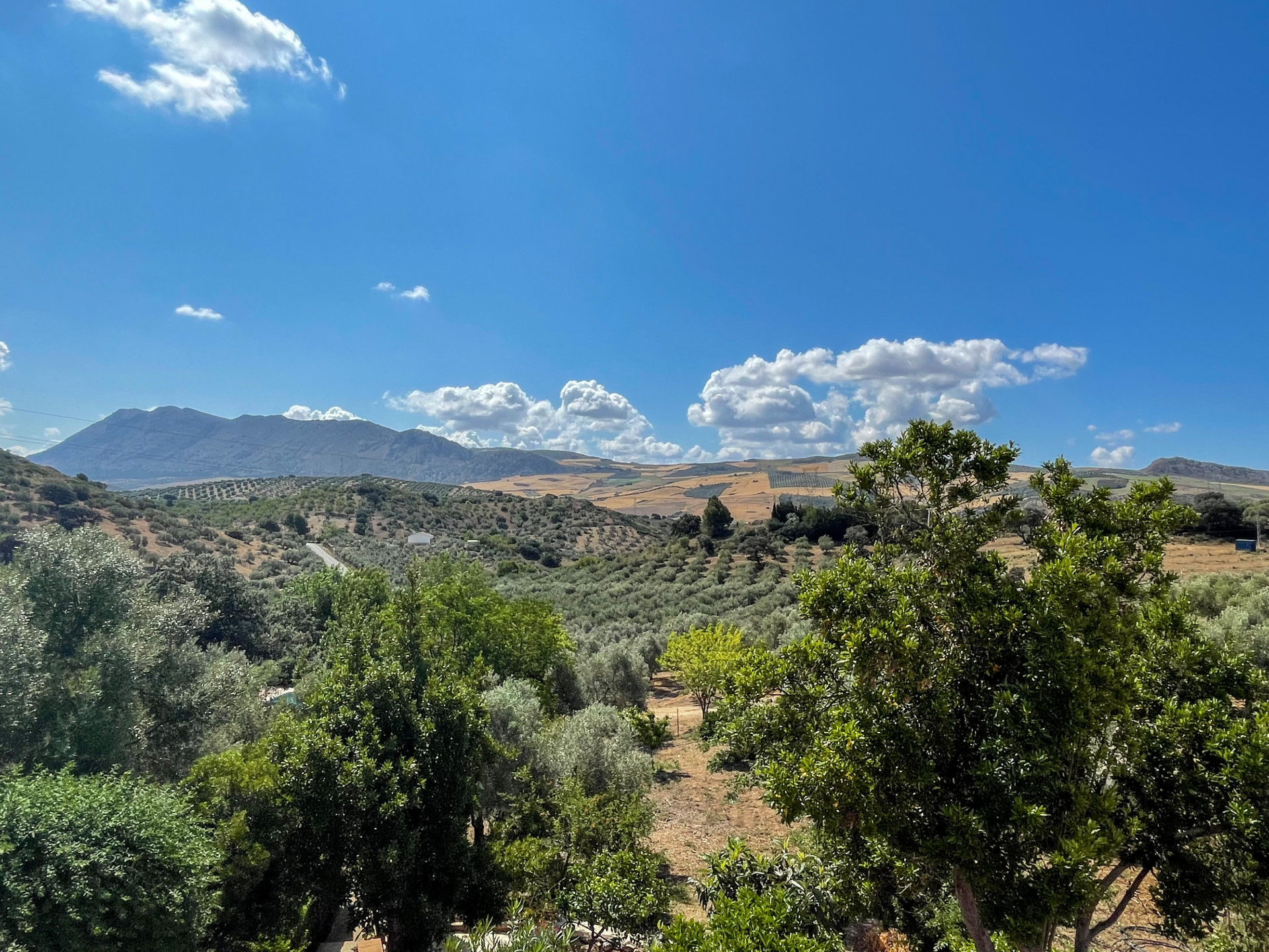 6 Bedroom Country house in Antequera - Photo 4