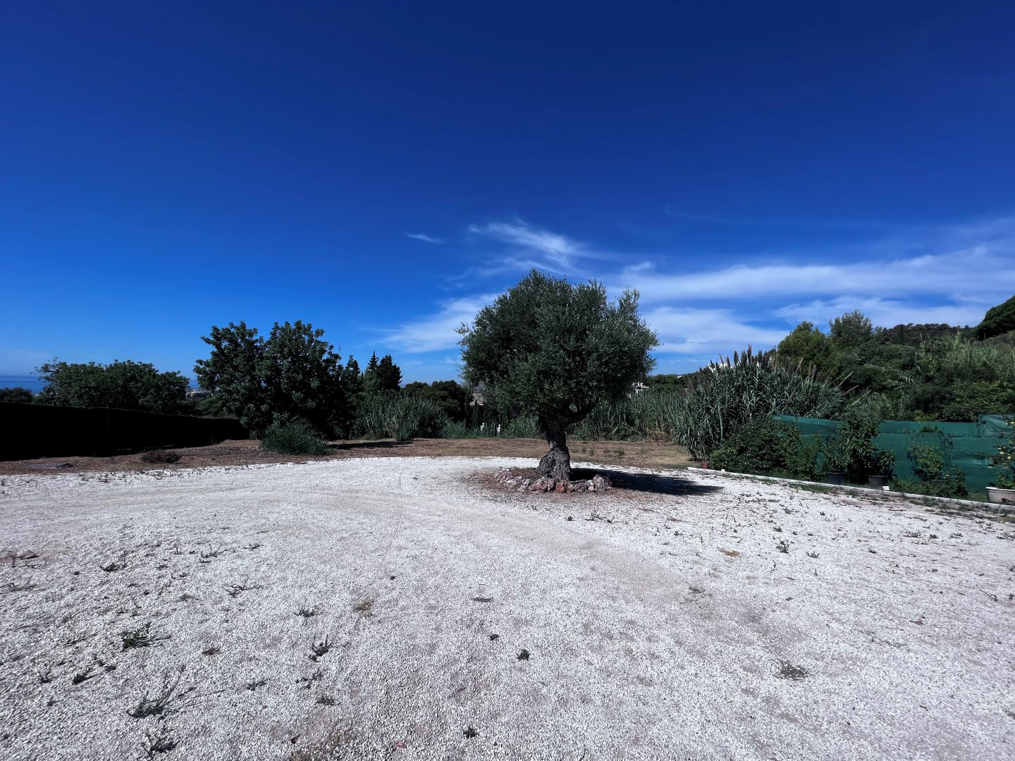 5,700 m² Plot in Marbella - Photo 2