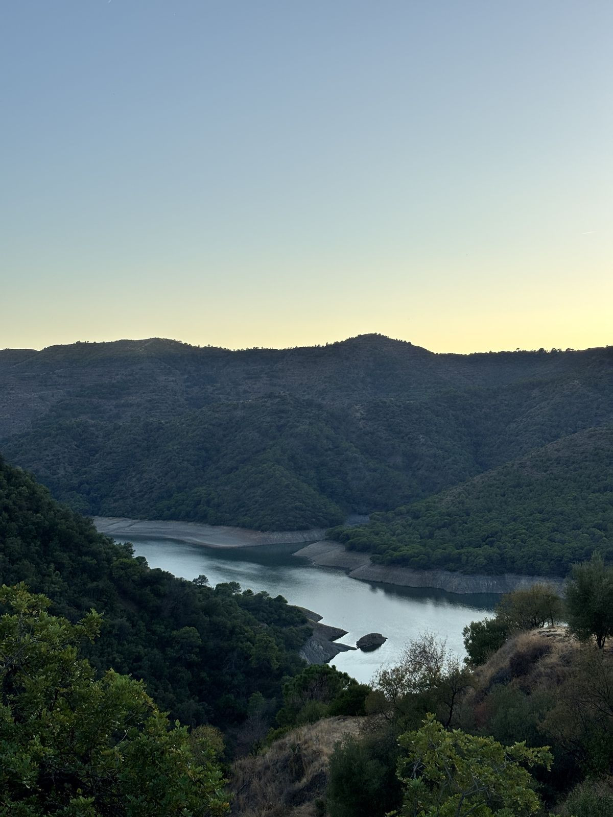 30,000 m² Plot in Istán - Photo 19