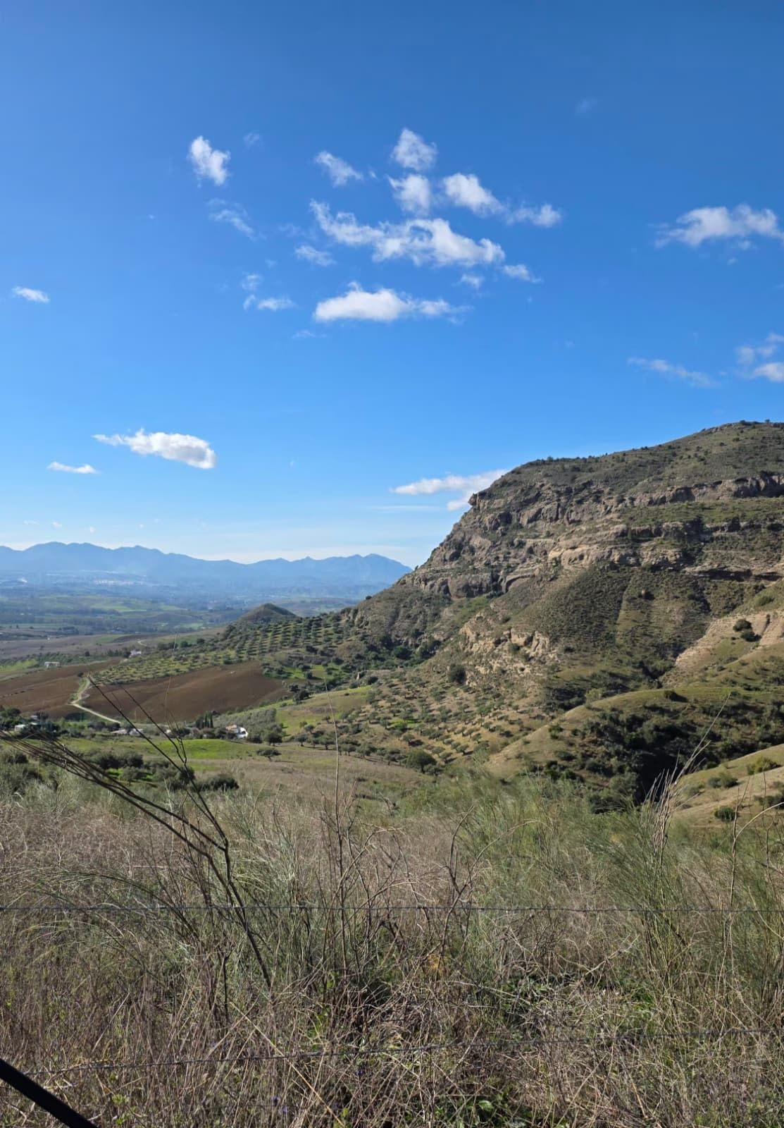5 Bedroom Country house in Pizarra - Photo 21