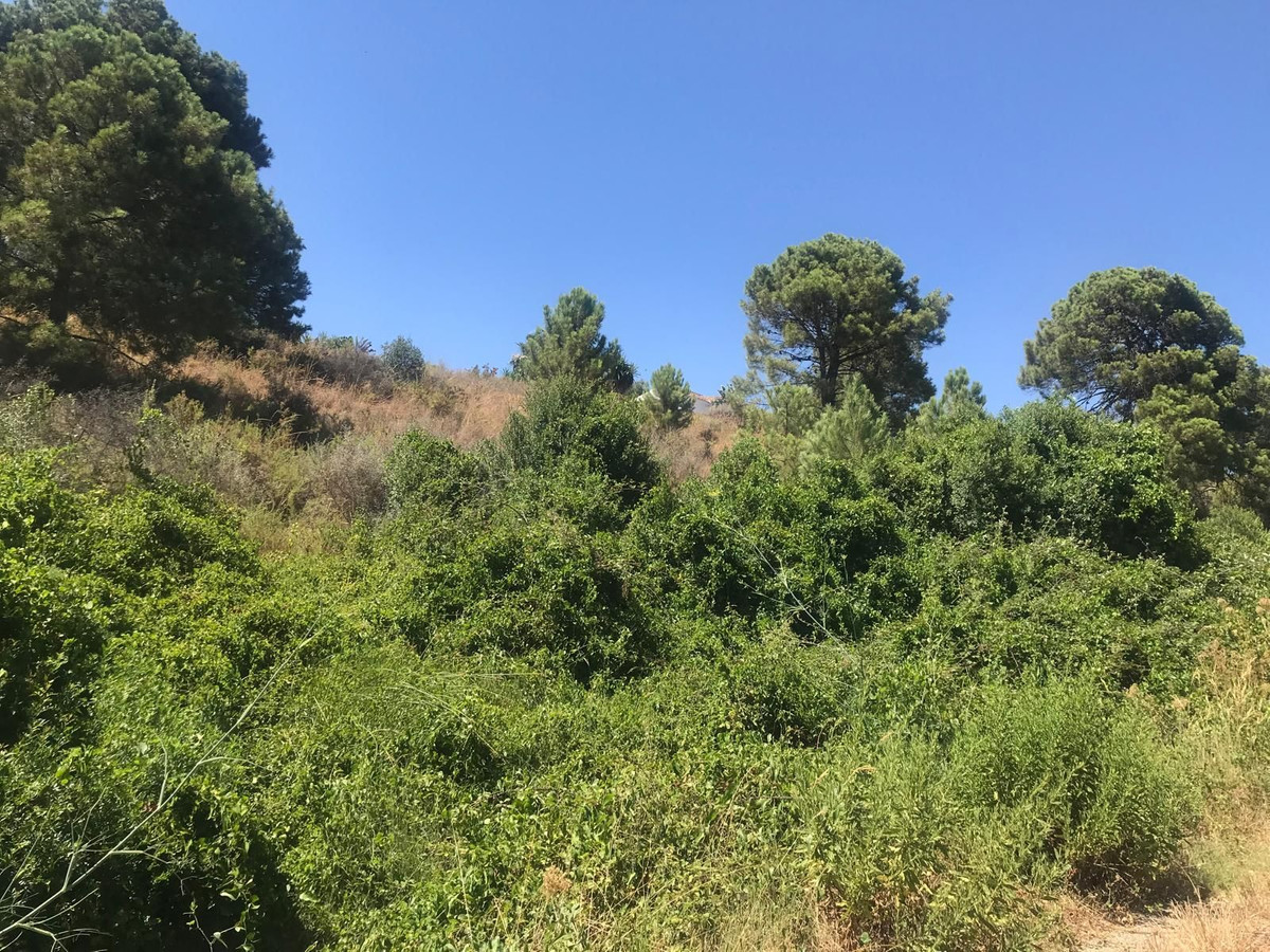 27,265 m² Plot in Estepona - Photo 4