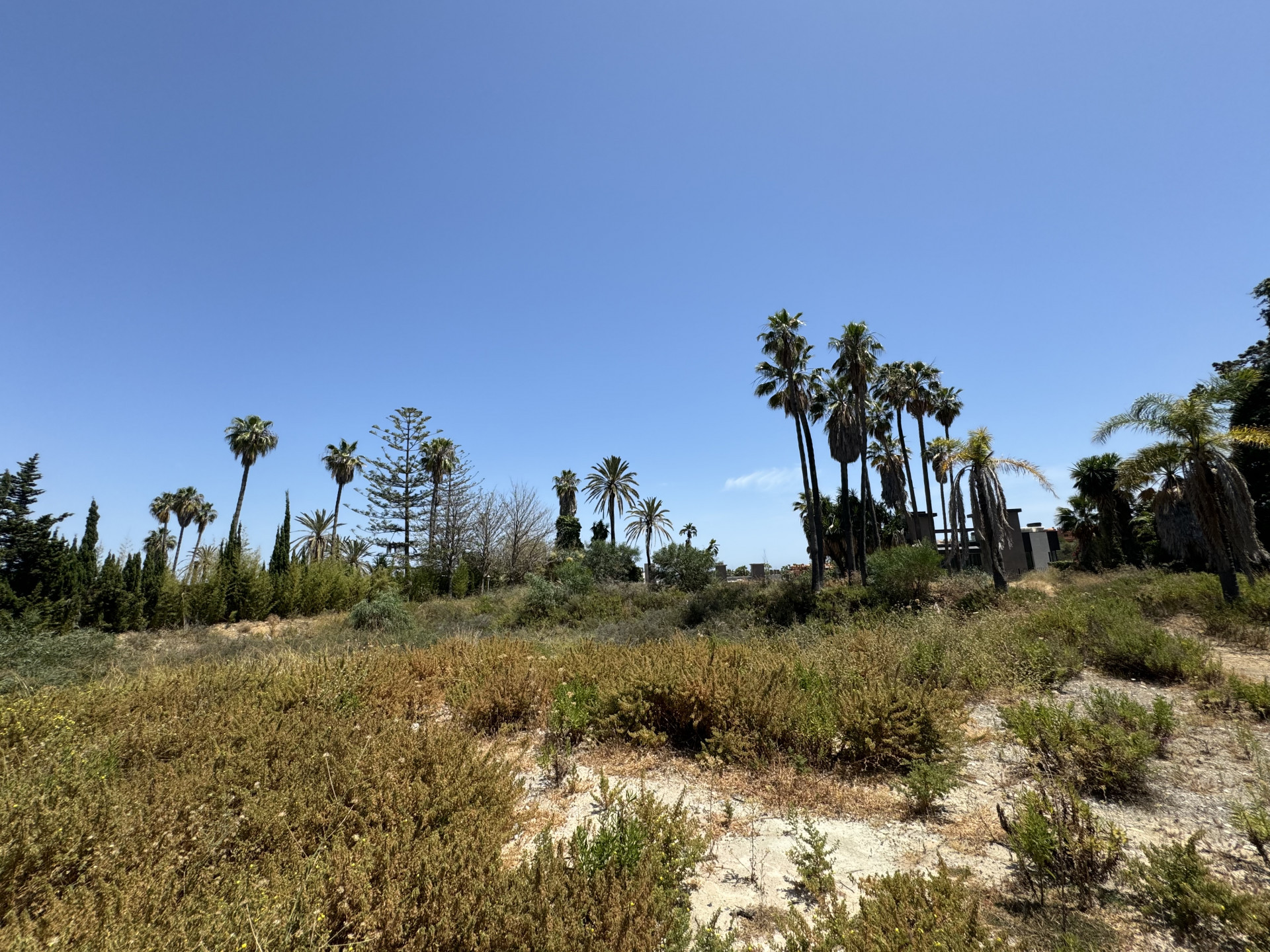 3,607 m² Plot in Marbella - Photo 8