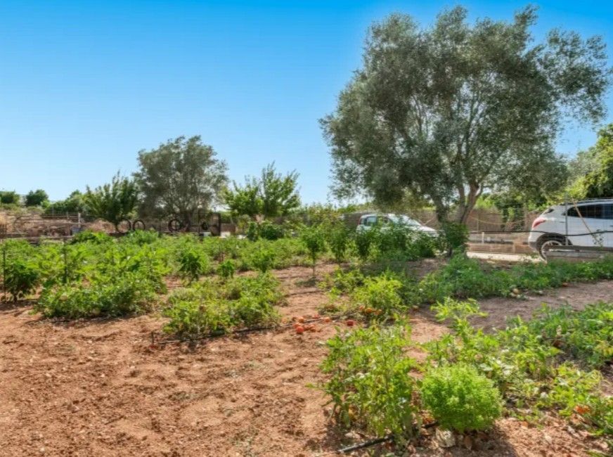 Moradia com 3 quartos com piscina em Baleares, Espanha – Foto 2