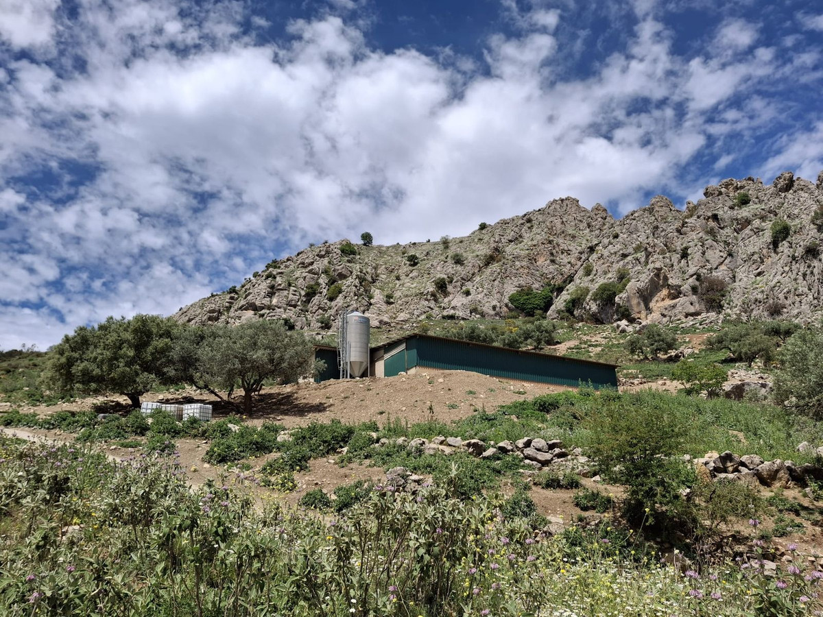 680,000 m² Plot in Alfarnatejo - Photo 22