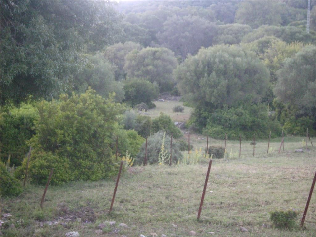 300,000 m² Plot in Cortes de la Frontera - Photo 10