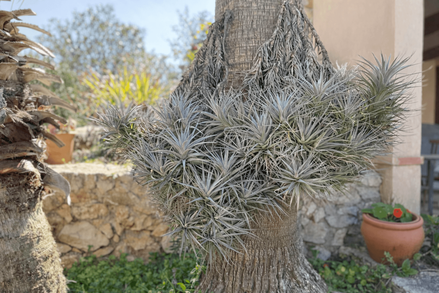 Villa con 3 camere con piscina a Baleari, Spagna – Foto 17
