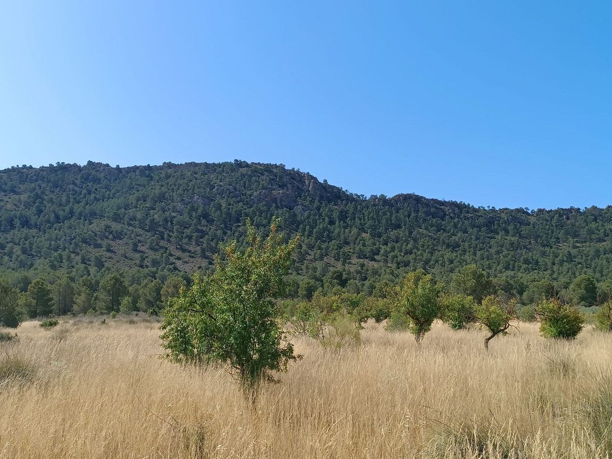 Moradia com 3 quartos em Múrcia, Espanha – Foto 16