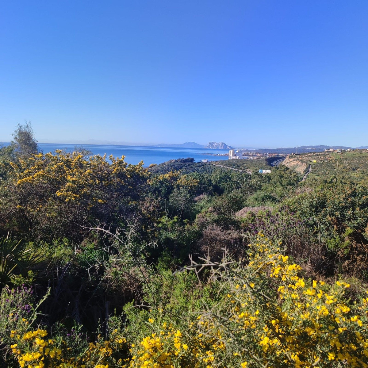 451 m² Plot in San Roque
