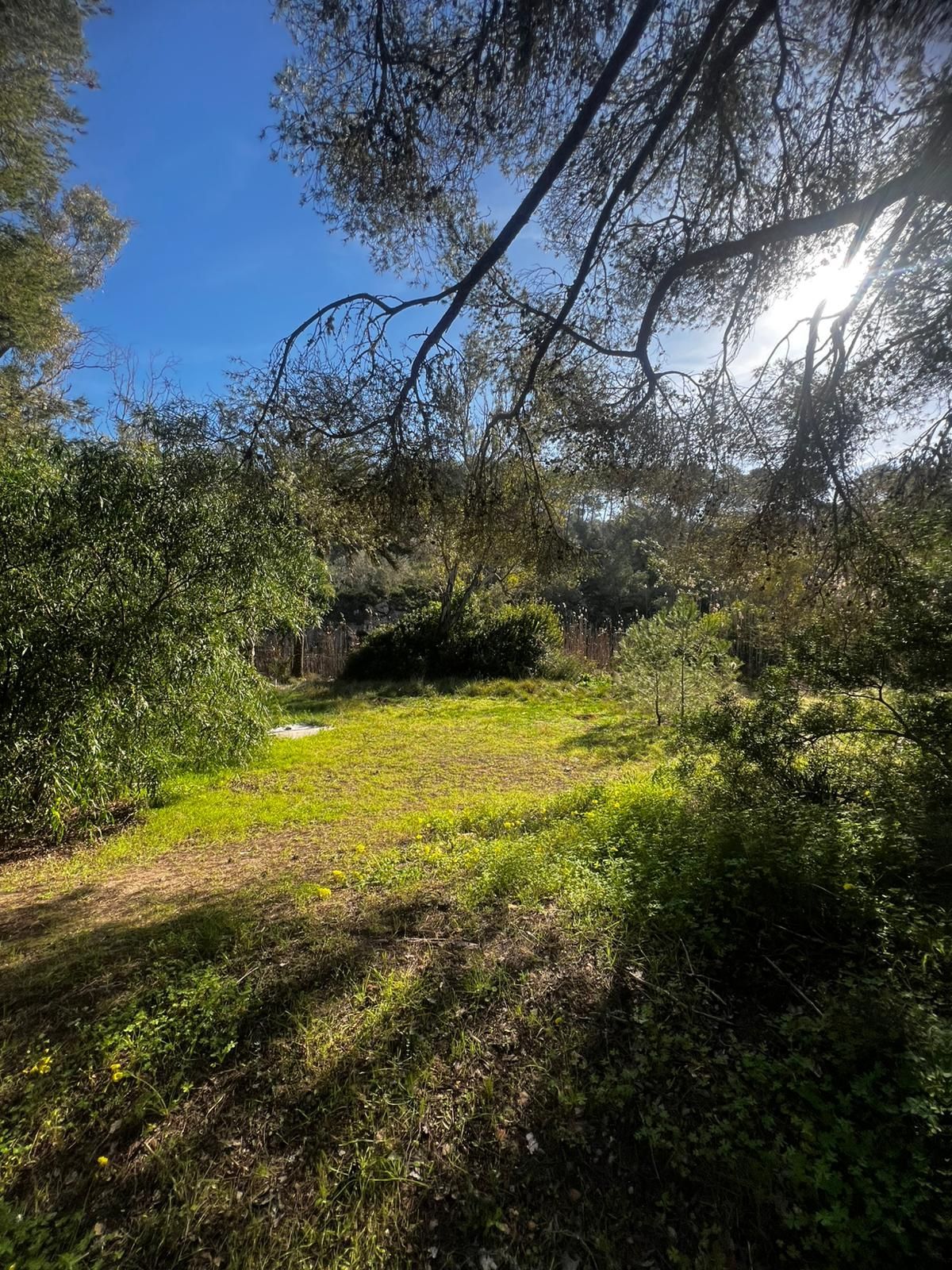 Chalet de 3 dormitorios en Baleares – Foto 15