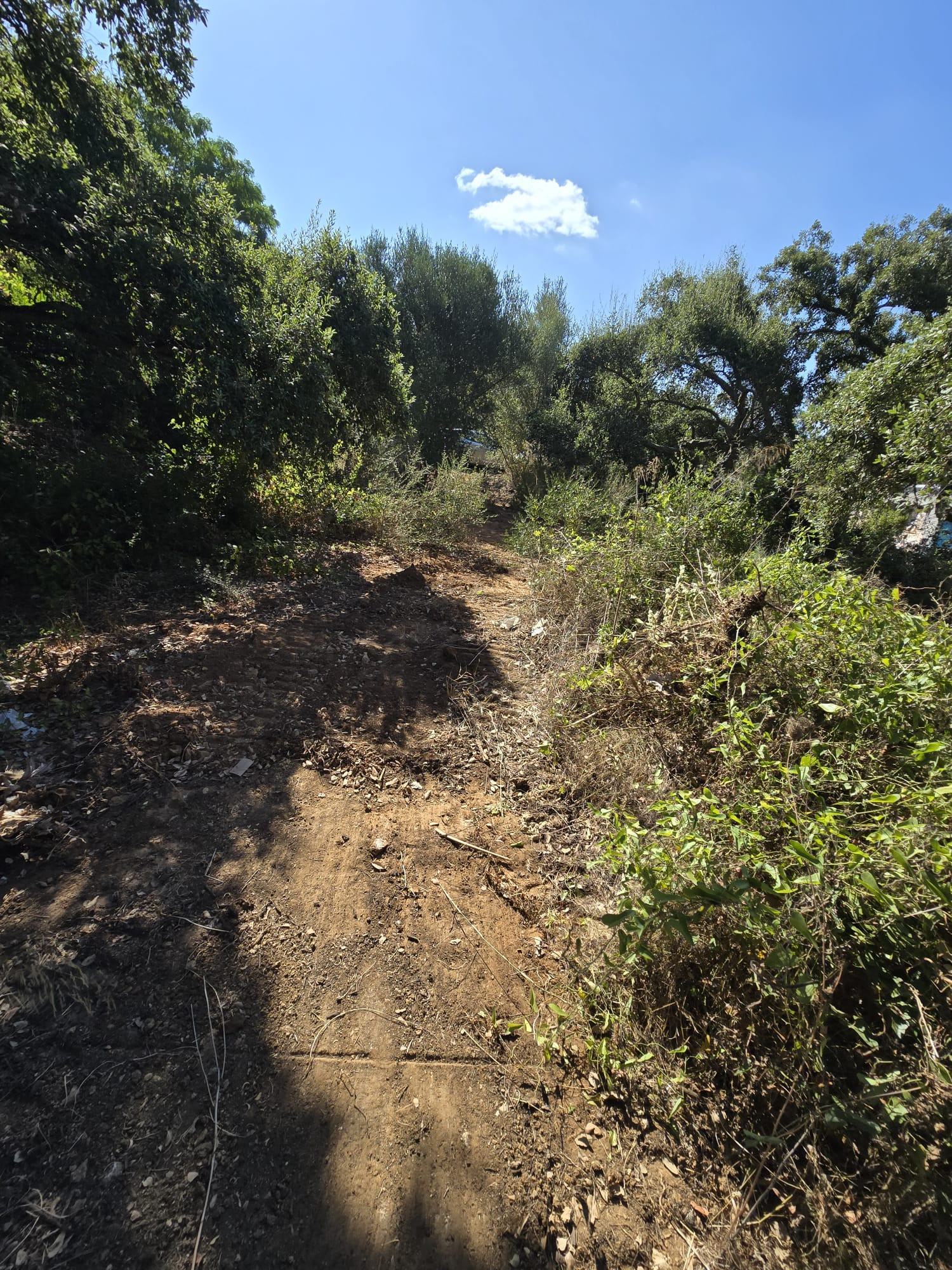 2,100 m² Plot in Sotogrande - Photo 13