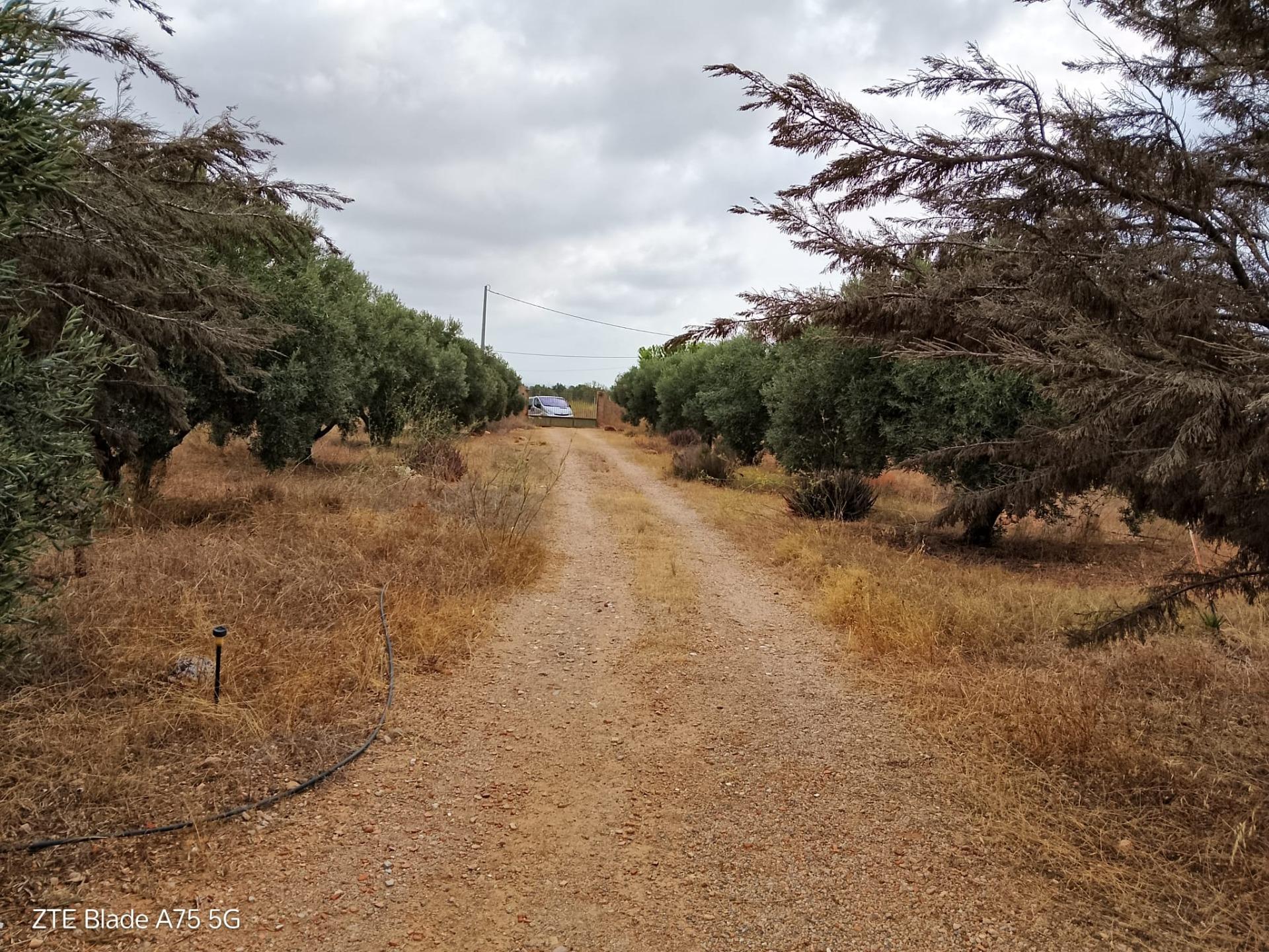 Chalet de 4 dormitorios en Murcia – Foto 3