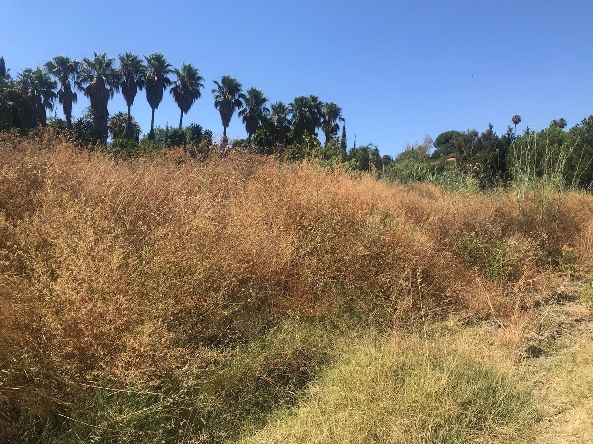 27,265 m² Plot in Estepona - Photo 8