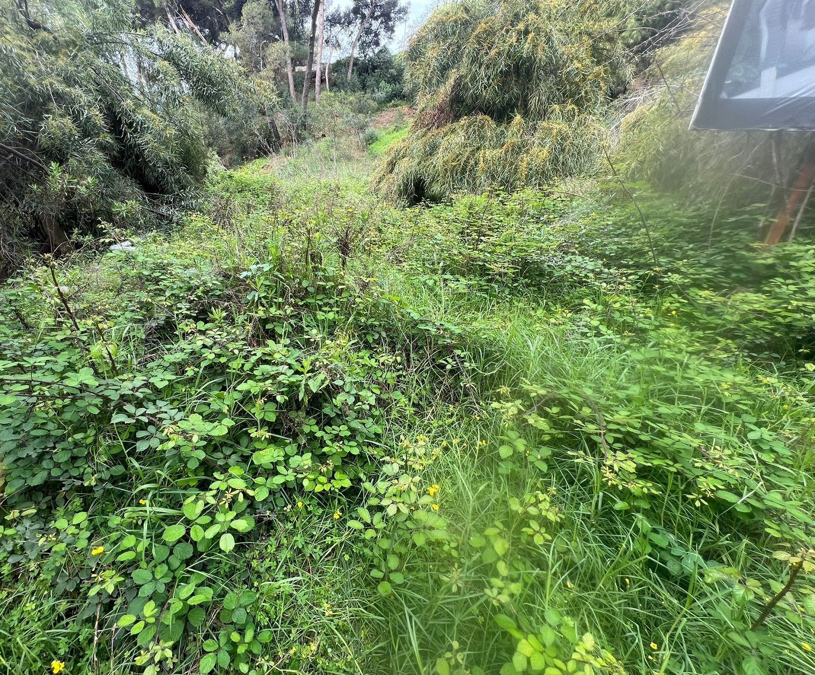 1,609 m² Plot in Marbella - Photo 3