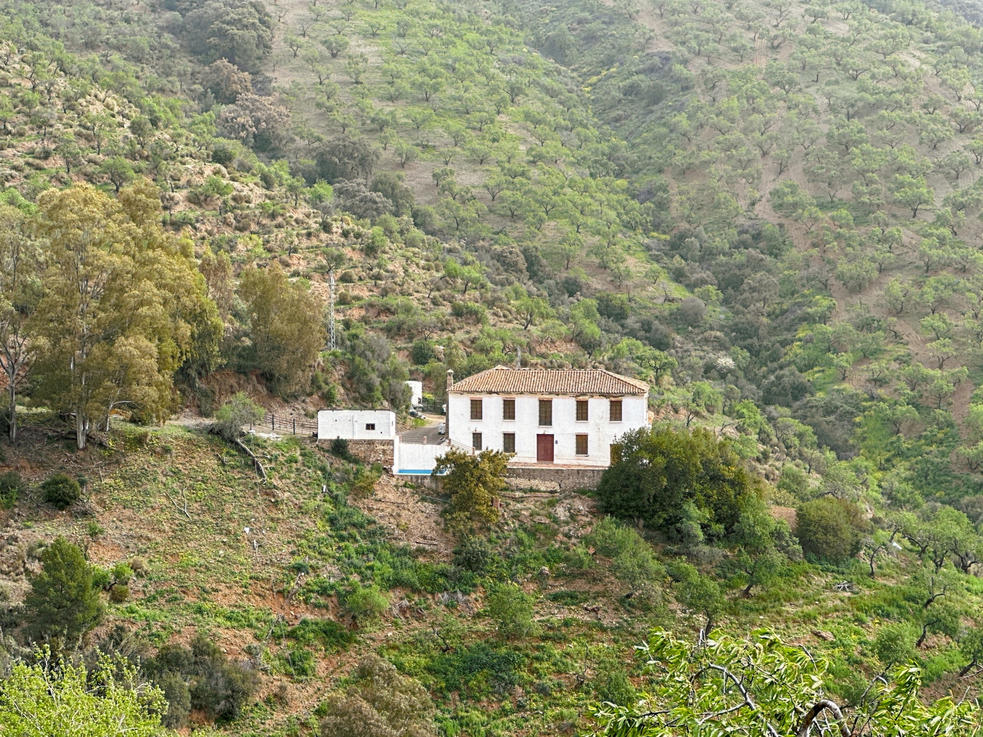 8 Bedroom Country house in Málaga - Photo 7
