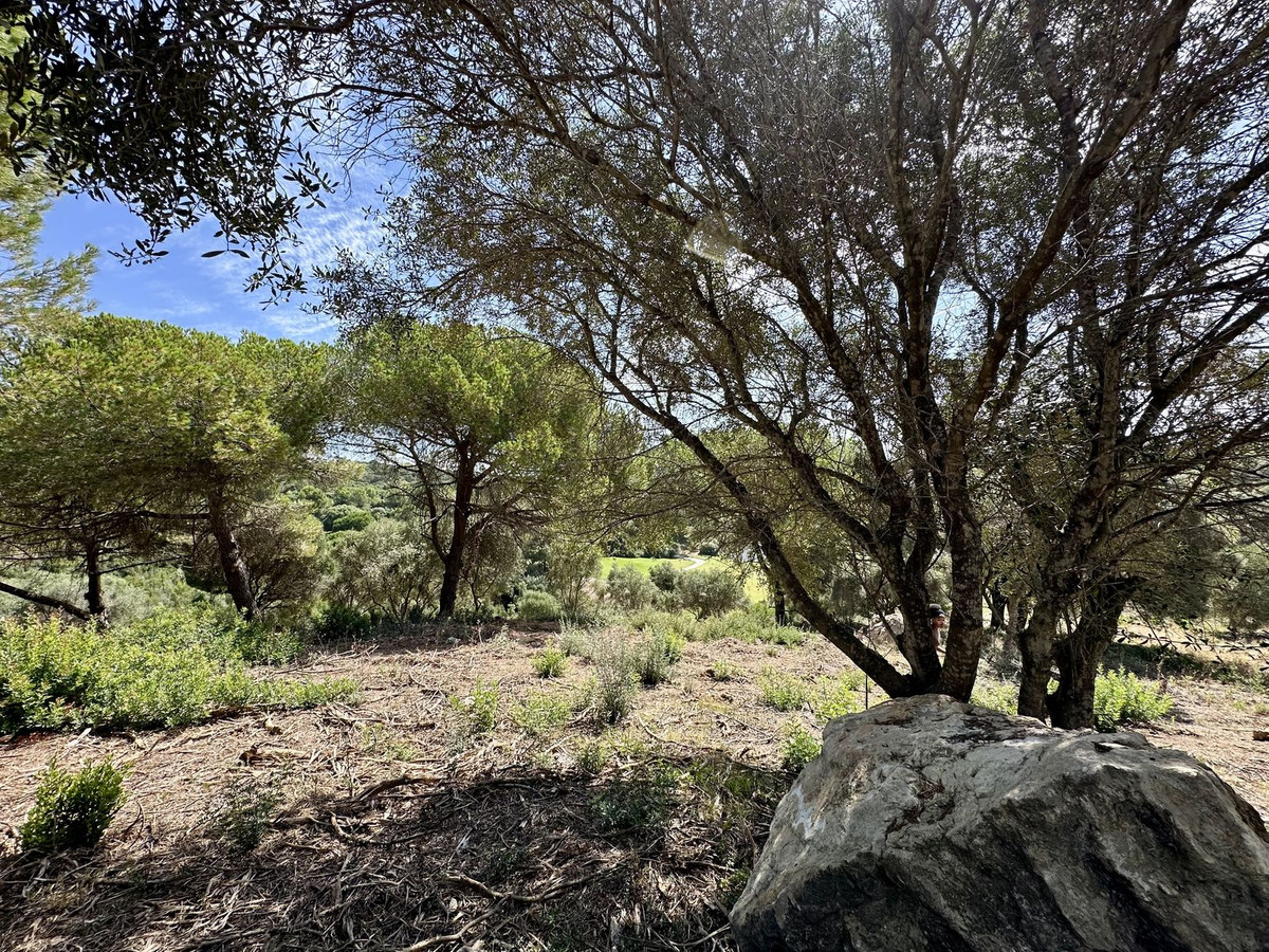 3,455 m² Plot in Sotogrande - Photo 2