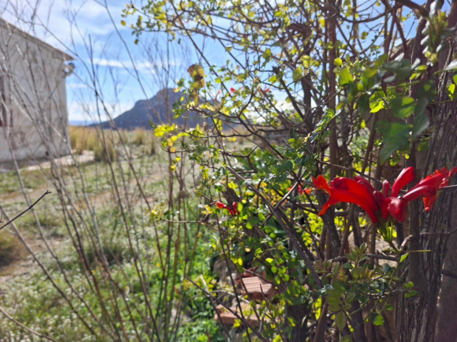 Moradia com 8 quartos em Alicante, Espanha – Foto 14