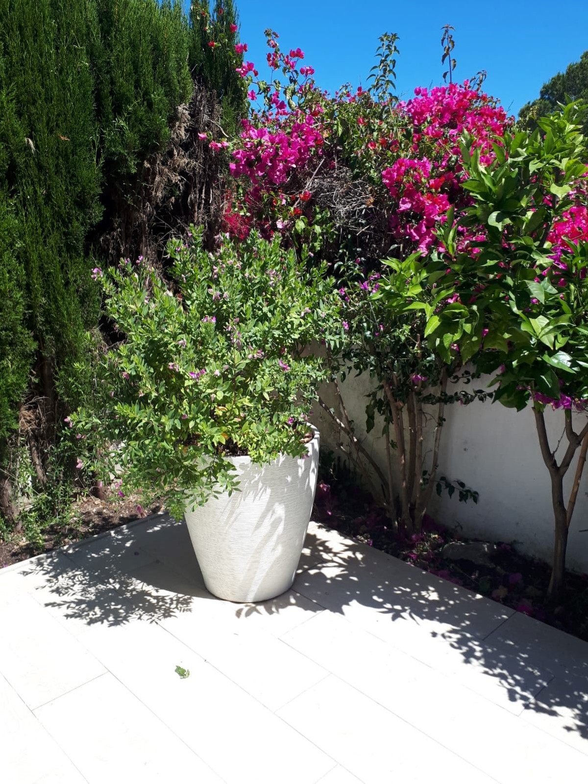 2 Bedroom Townhouse in Marbella - Photo 25
