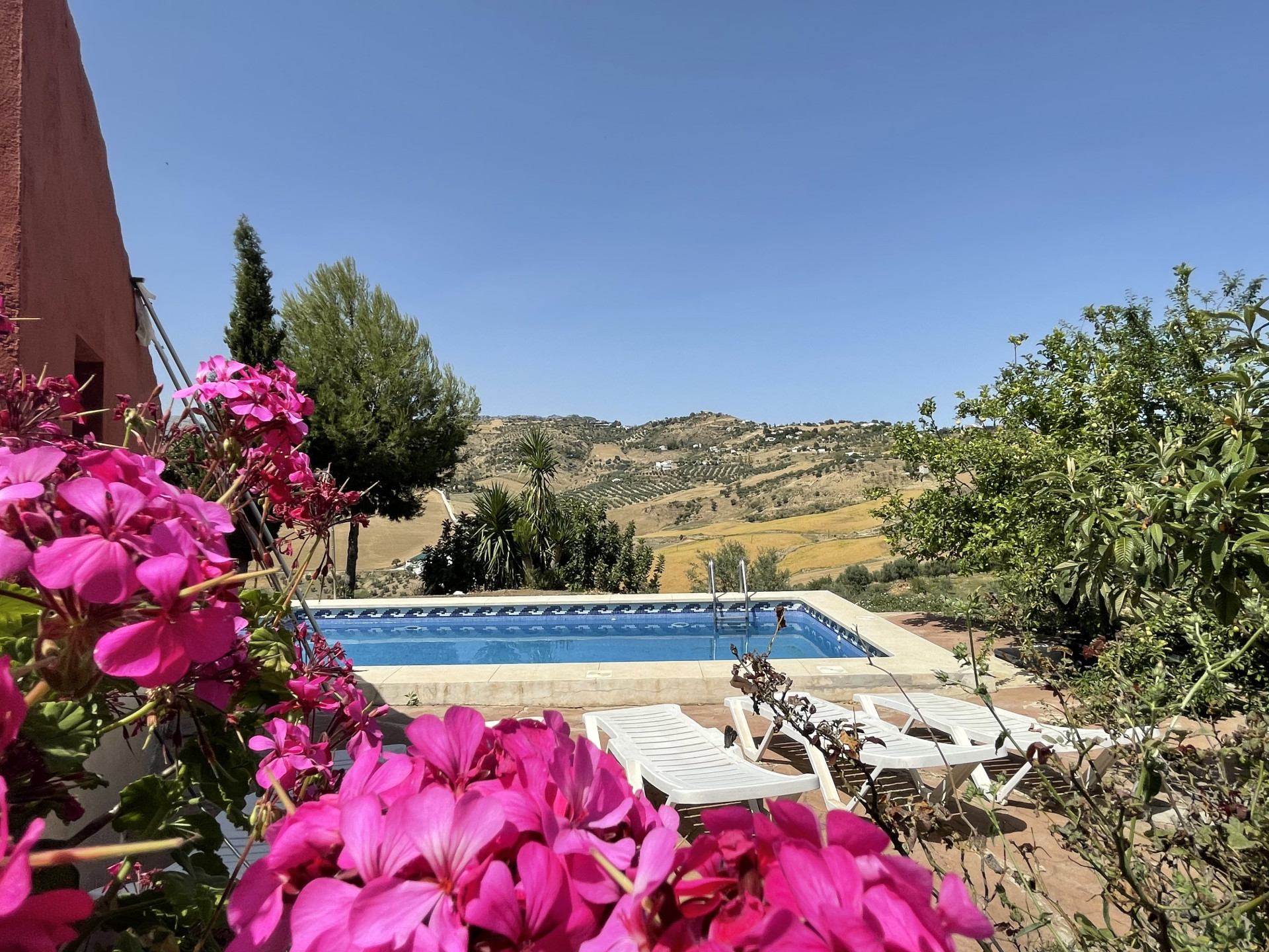 14 Bedroom Country house in Villanueva de la Concepción - Photo 44