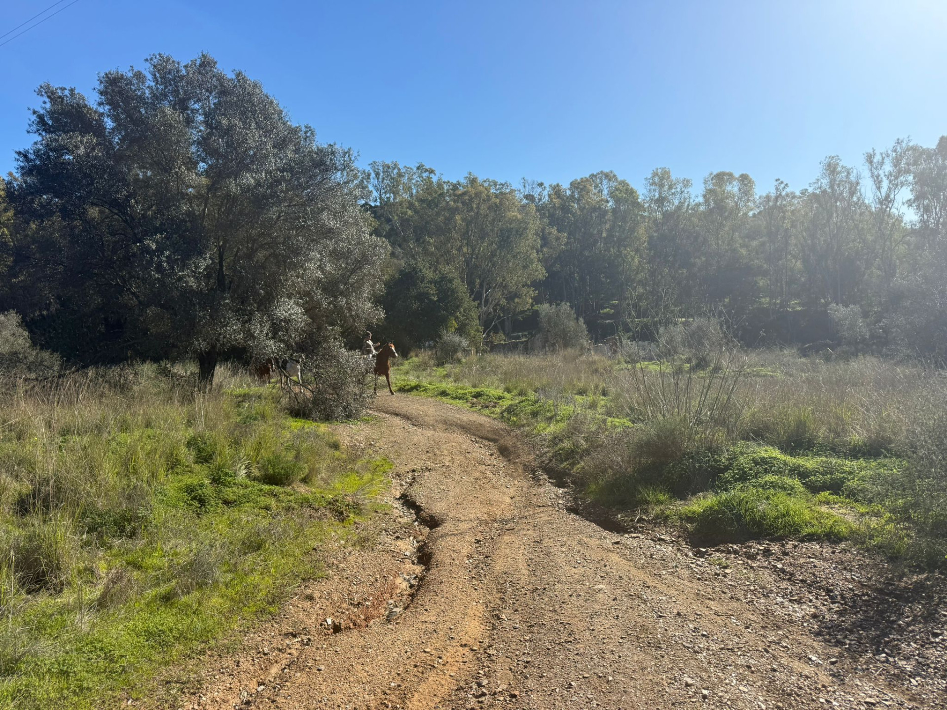 90,882 m² Plot in Mijas - Photo 3
