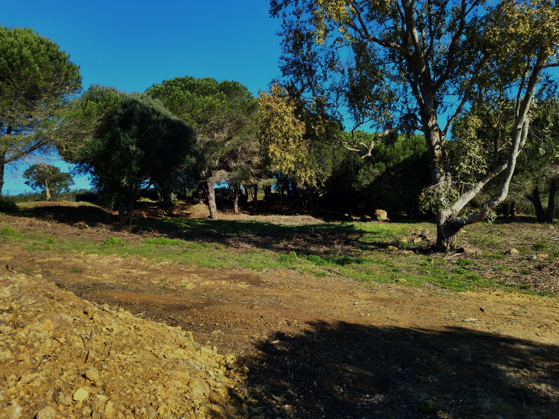 2,703 m² Plot in Sotogrande - Photo 12