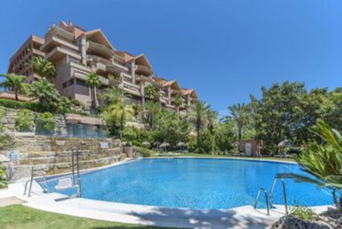 Commercial premises with pool in Malaga, Spain – Photo 13