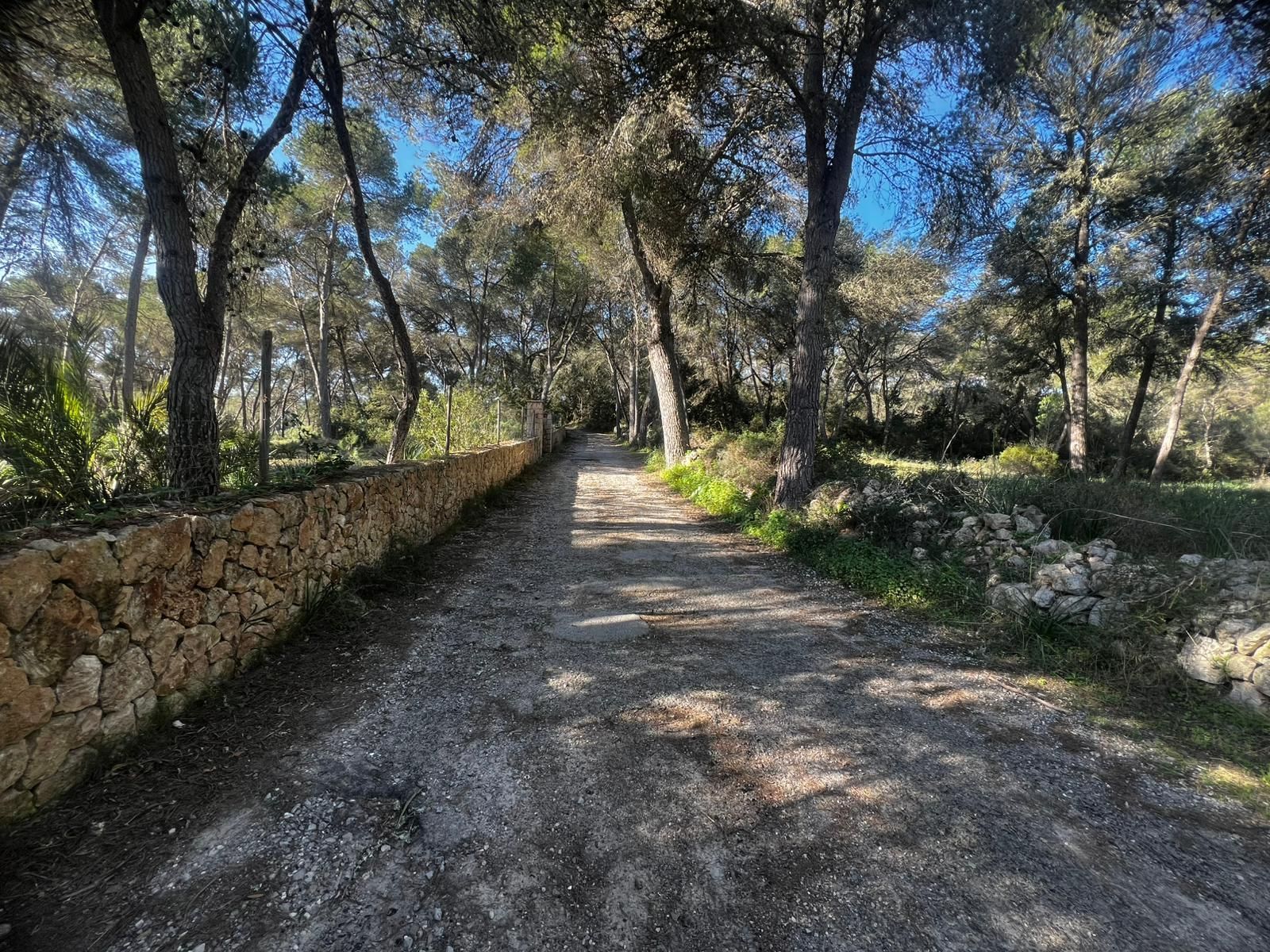 Chalet de 3 dormitorios en Baleares – Foto 17