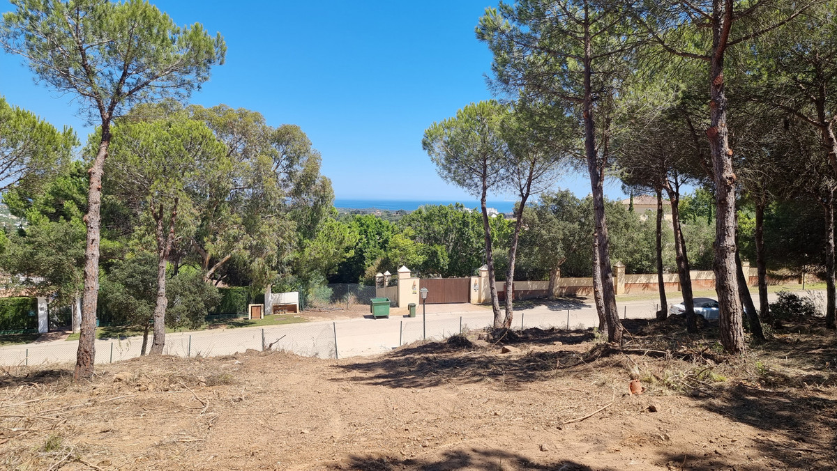 2,536 m² Plot in Sotogrande - Photo 3
