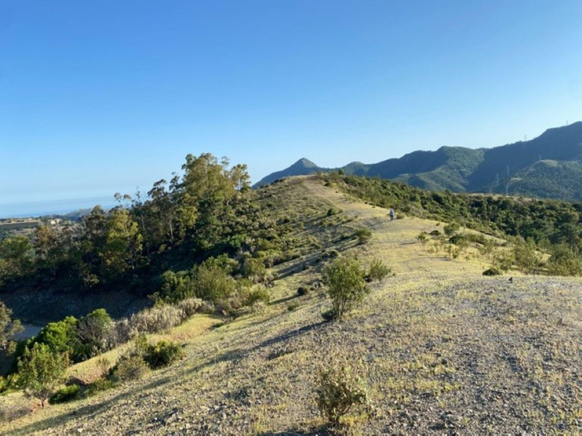 12,563 m² Plot in Benahavís - Photo 18