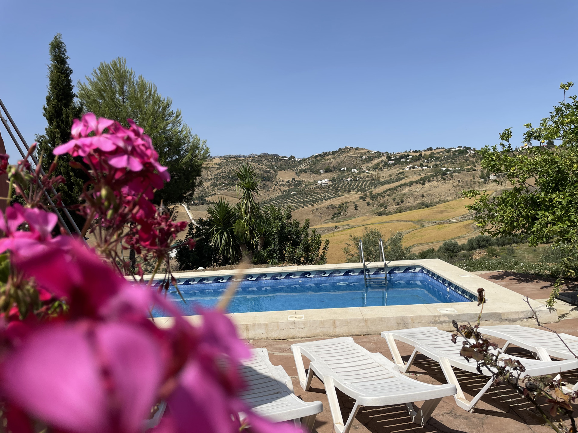 14 Bedroom Country house in Villanueva de la Concepción - Photo 2