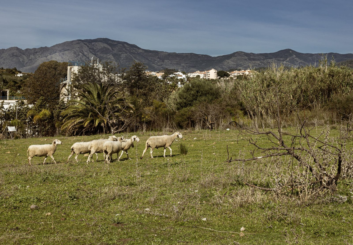 30,000 m² Plot in Estepona - Photo 6