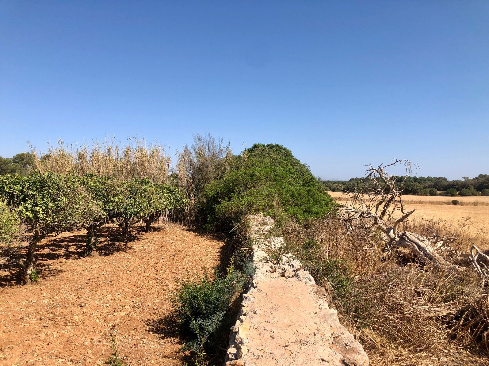 Moradia com 3 quartos com piscina em Baleares, Espanha – Foto 21