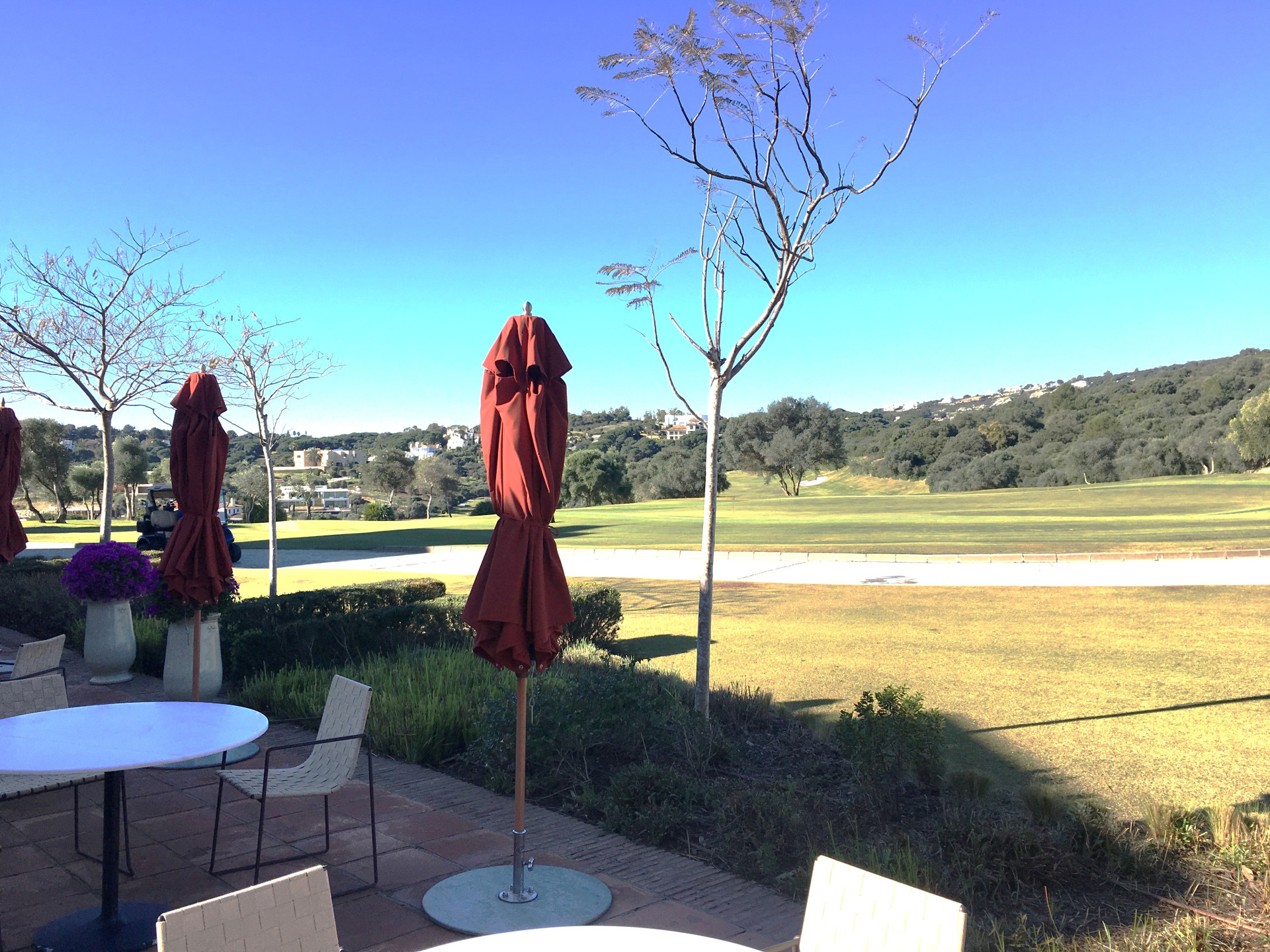 2,703 m² Plot in Sotogrande - Photo 7