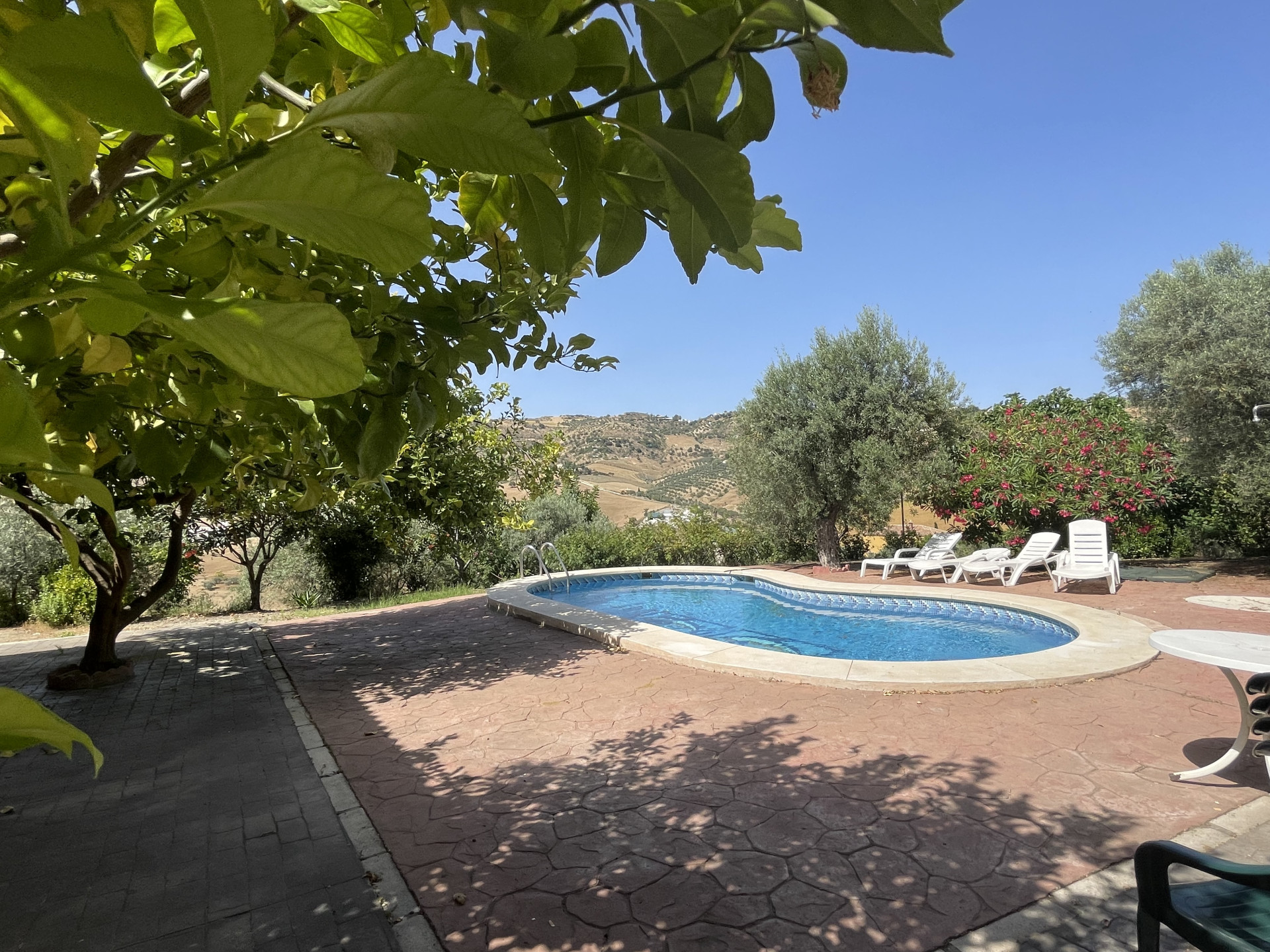 14 Bedroom Country house in Villanueva de la Concepción - Photo 34