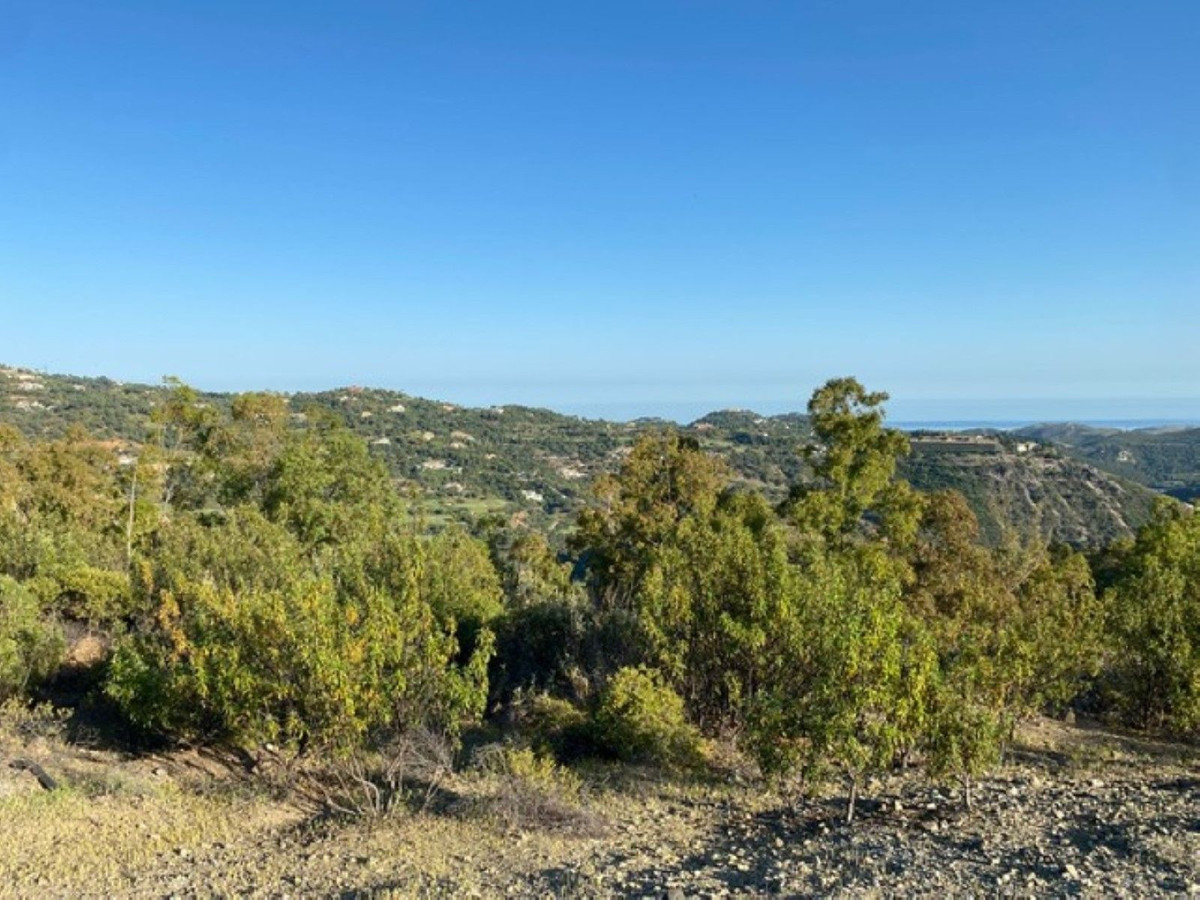 12,563 m² Plot in Benahavís - Photo 13