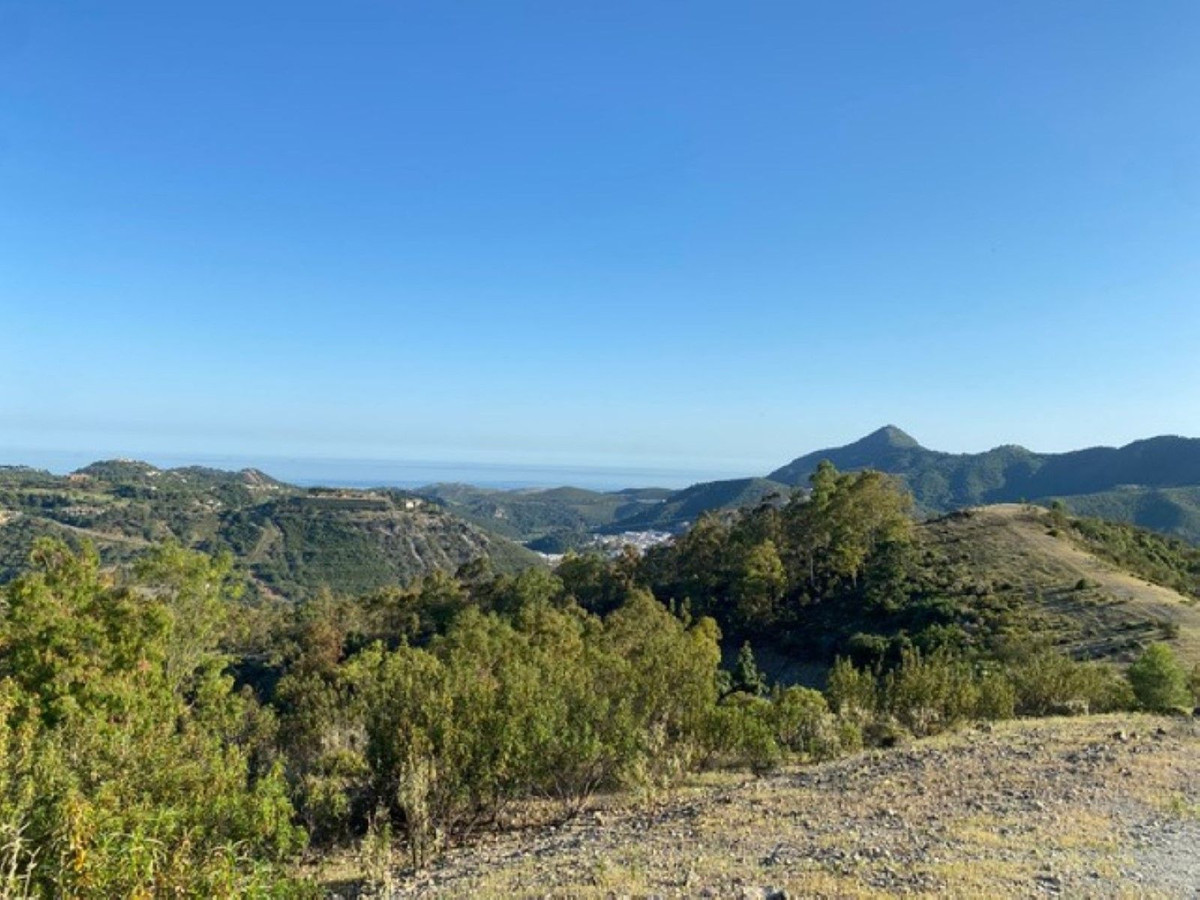 12,563 m² Plot in Benahavís - Photo 16