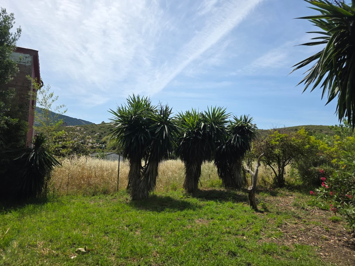 4 Bedroom Country house in Alhaurín el Grande - Photo 73