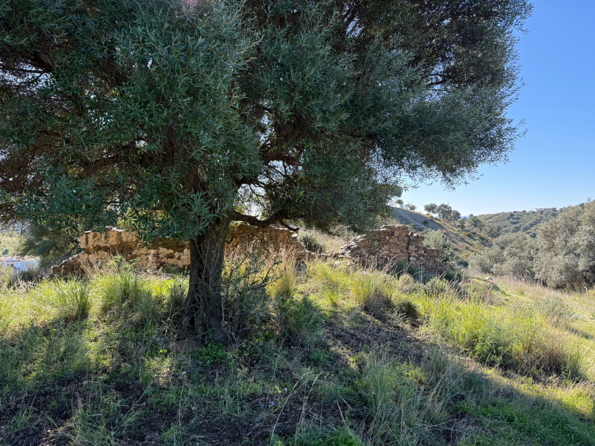 90,882 m² Plot in Mijas - Photo 8