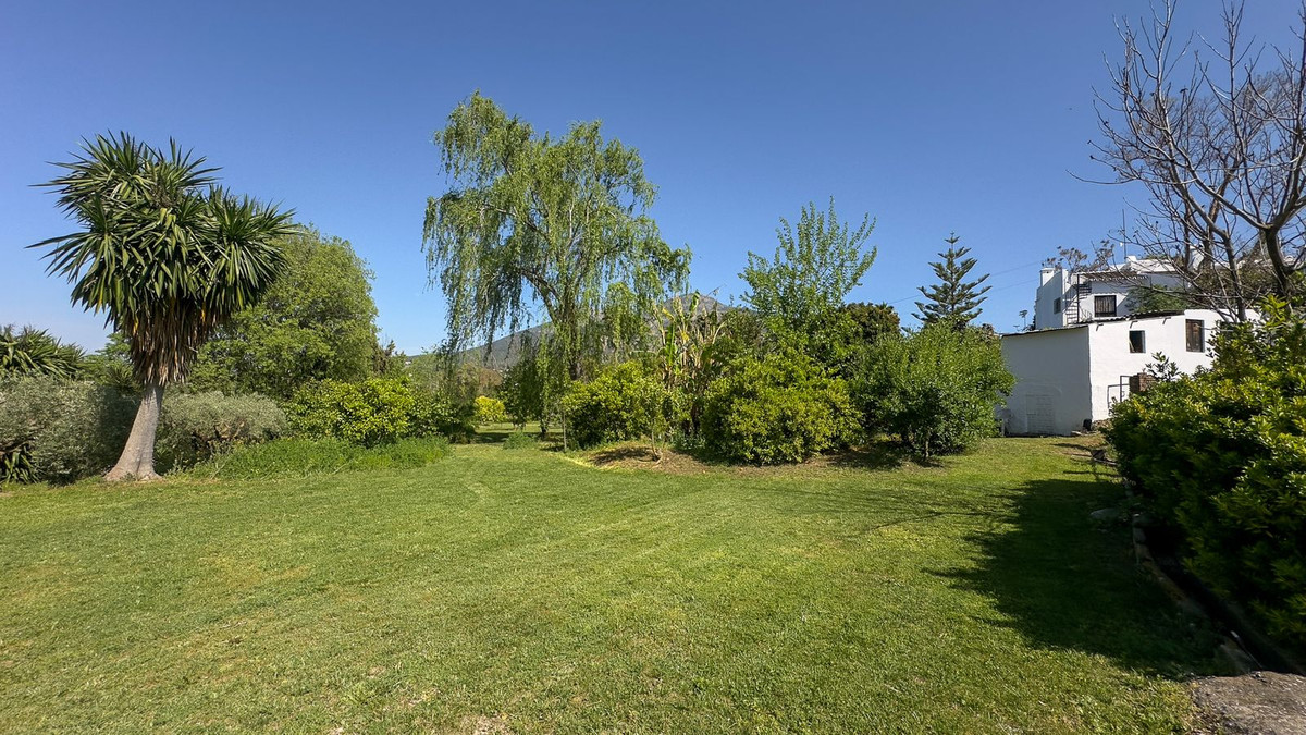 3 Bedroom Country house in Alhaurín el Grande - Photo 50