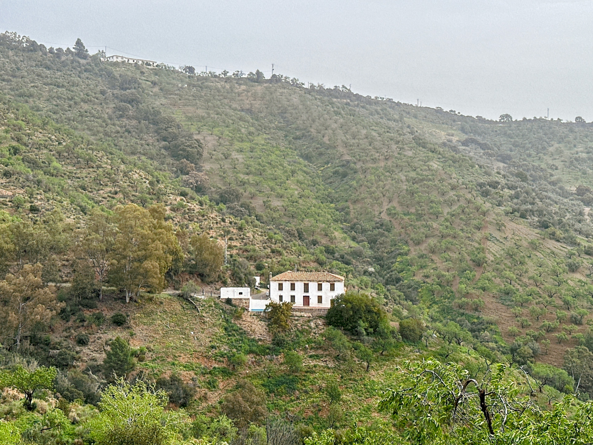 8 Bedroom Country house in Málaga - Photo 4
