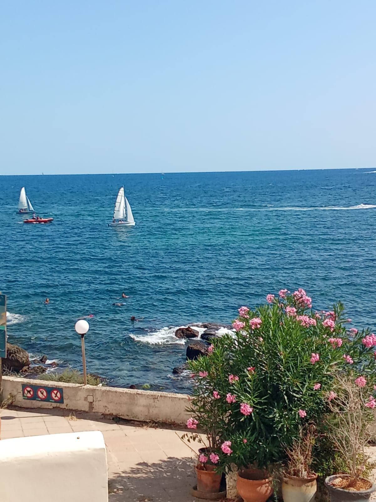 Gewerbefläche mit Pool in Balearen, Spanien – Foto 6
