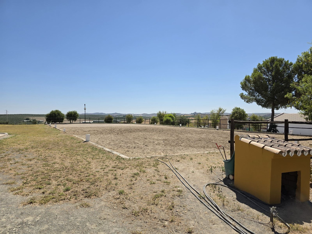 Moradia com 4 quartos com piscina em Sevilla, Espanha – Foto 19