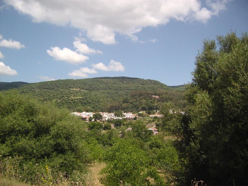 300,000 m² Plot in Cortes de la Frontera - Photo 6