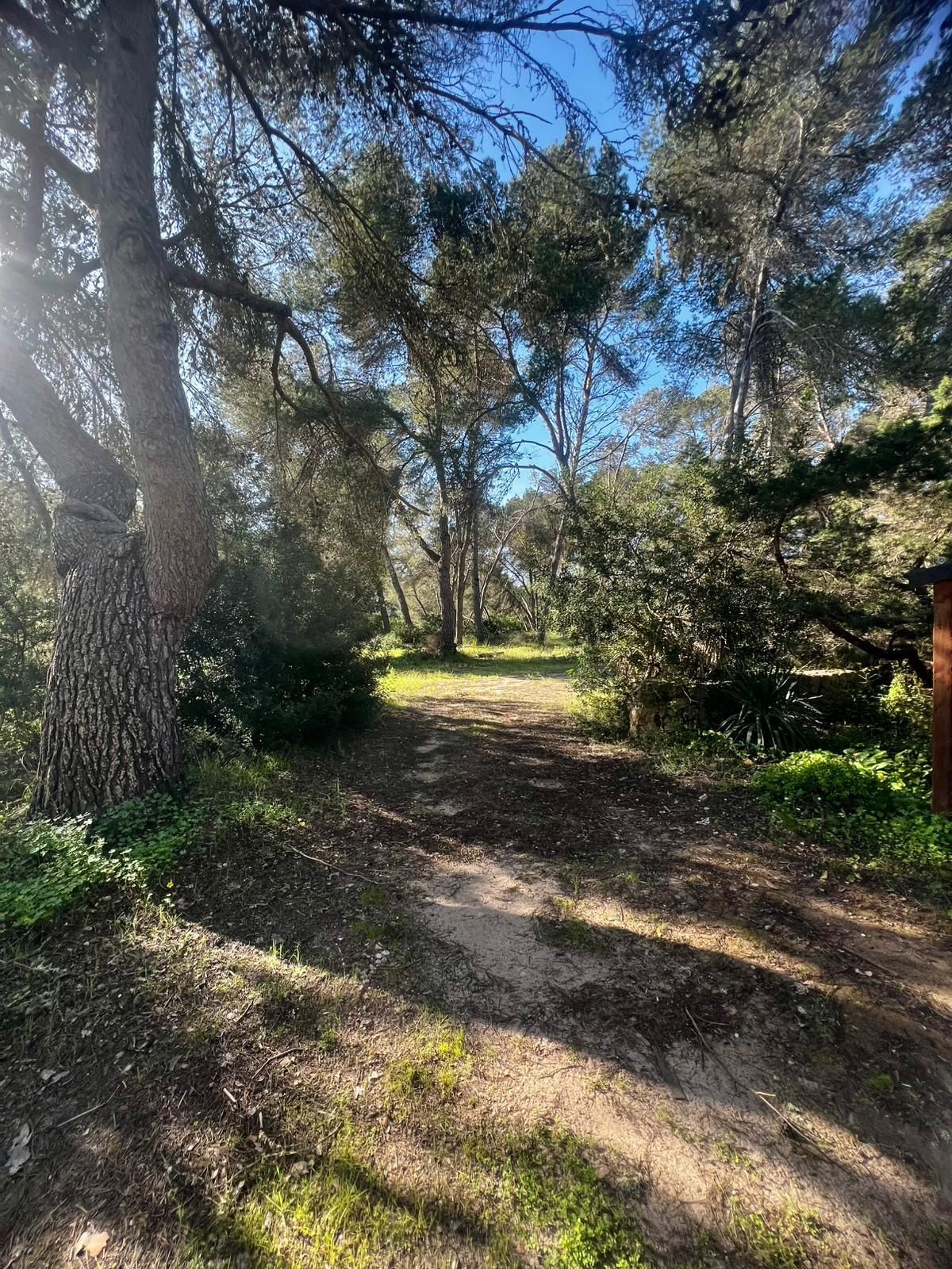 Chalet de 3 dormitorios en Baleares – Foto 16