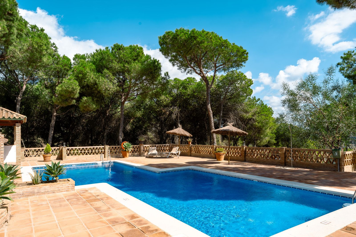 2 Bedroom Apartment in Marbella - Photo 23