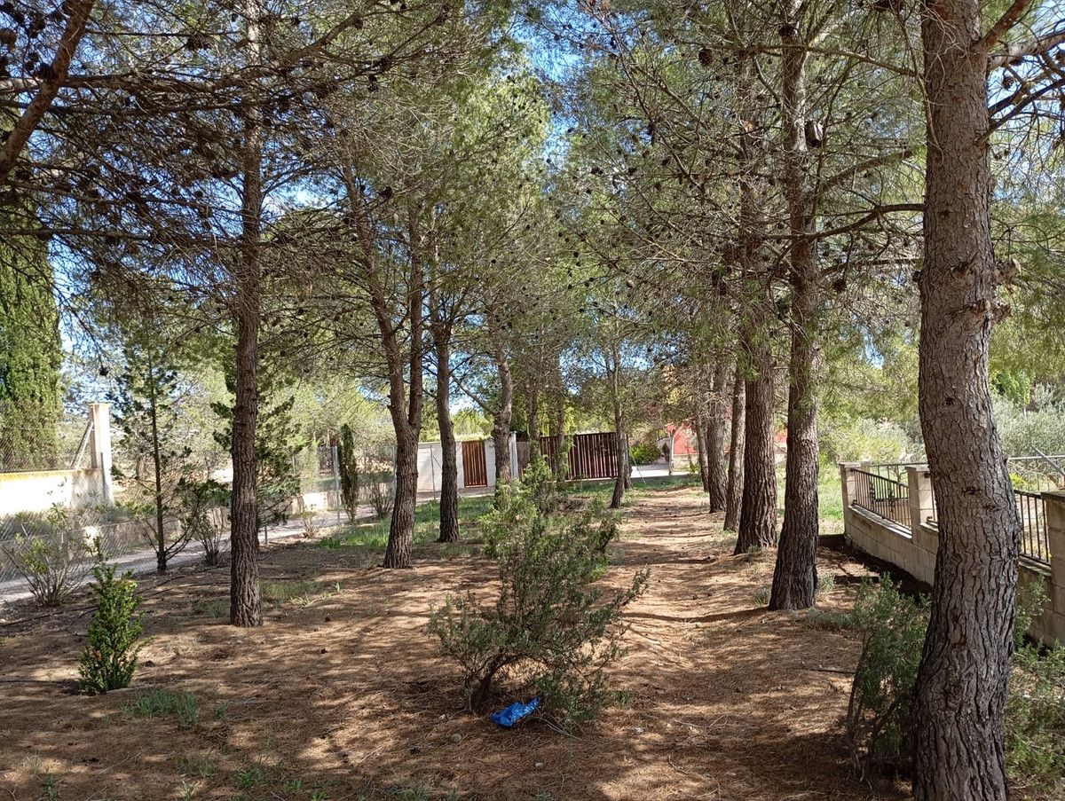 Moradia com 5 quartos com piscina em Múrcia, Espanha – Foto 18