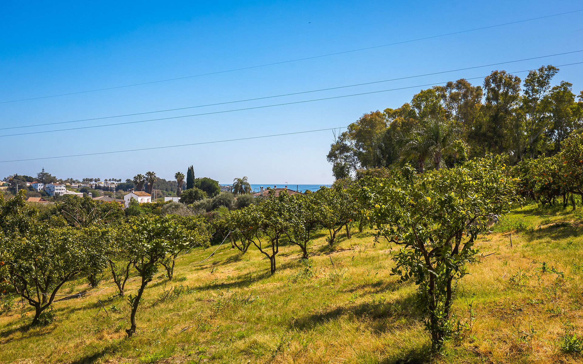4 Bedroom Country house in Estepona - Photo 25