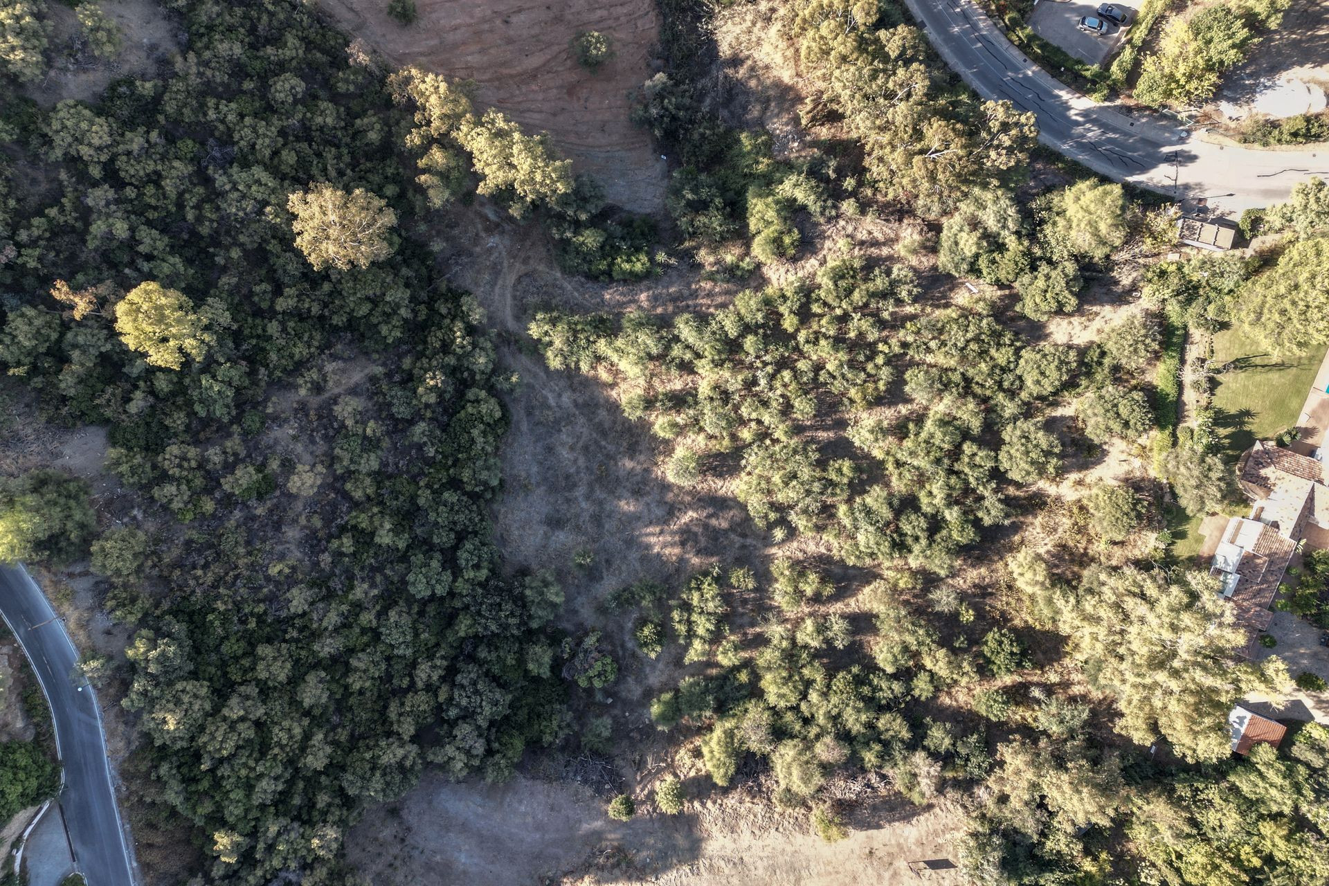 Plot in Los Almendros